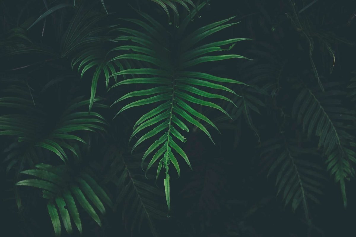 larm-rmah-273854-unsplash