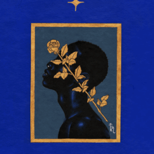 Captura de tela 2025-04-28 222734