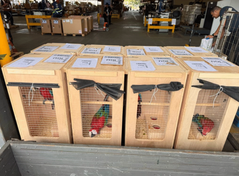 Avião Solidário da LATAM completa 14 anos conectando pessoas, causas e esperanç