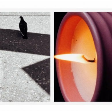 Loewe Home Scents: nova campanha com Joakim Möller amplia o universo olfativo da casa