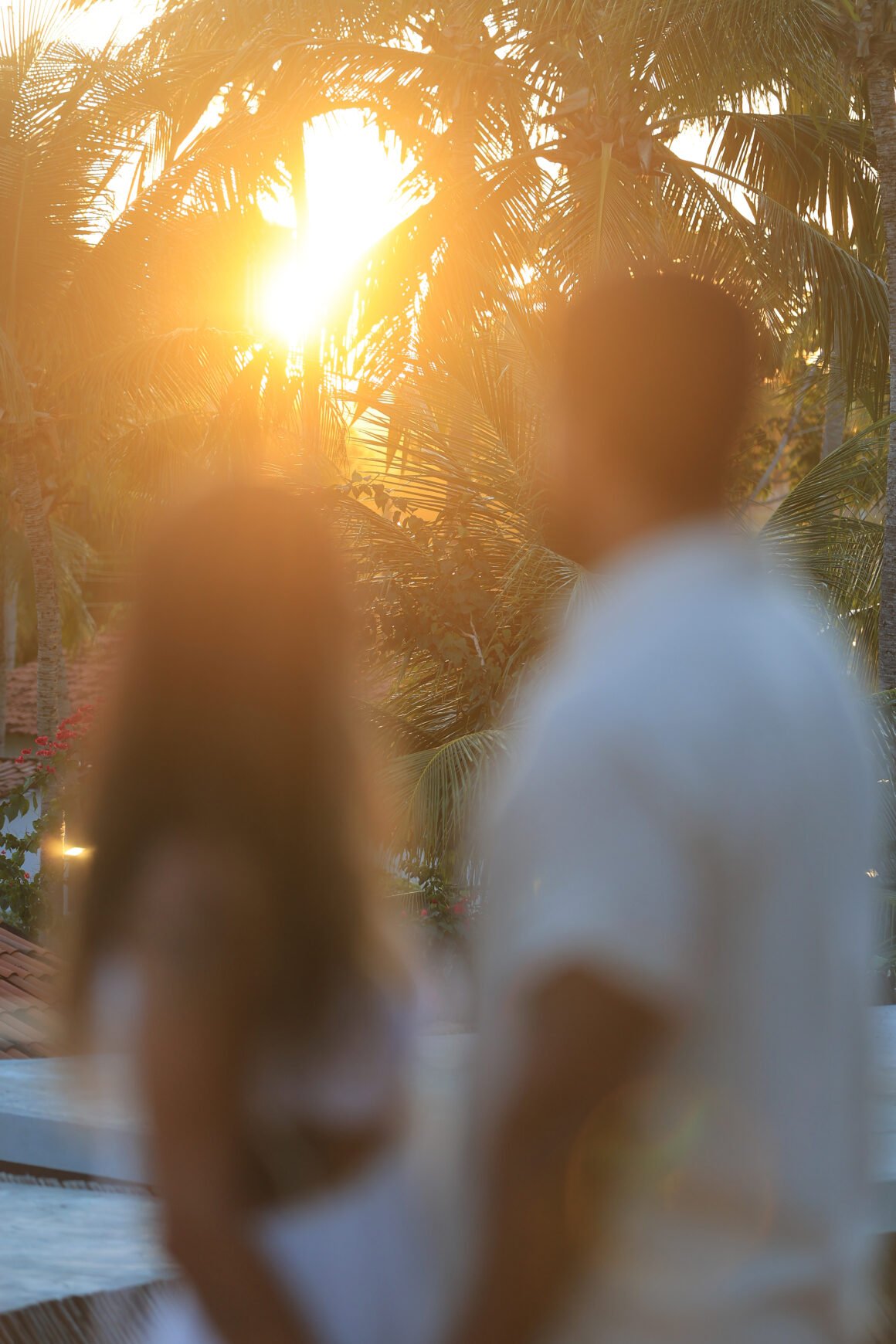 Hotéis adults only impulsionam turismo de luxo na Rota Ecológica dos Milagres