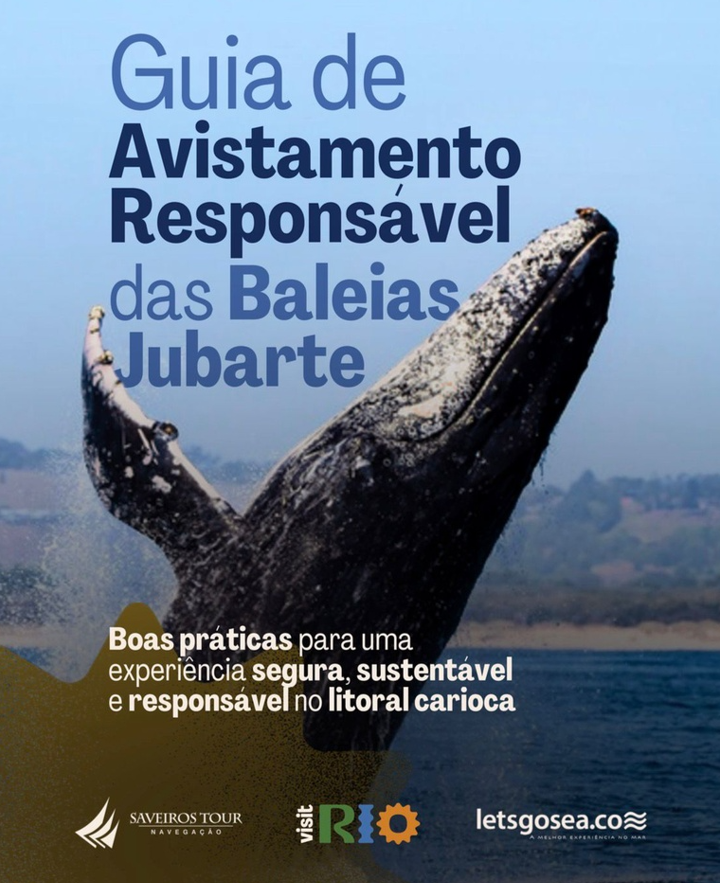 Visit Rio lança guia para avistamento responsável de baleias-jubarte durante temporada no litoral carioca
