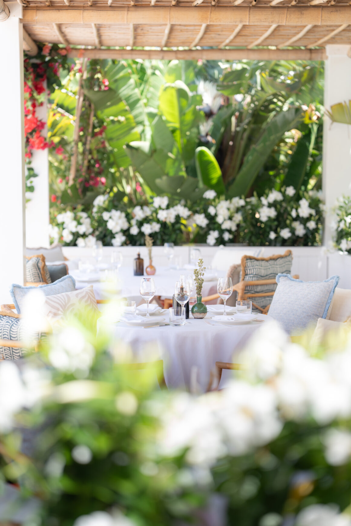 Saint-Tropez ganha novo fôlego mediterrâneo com hotel-boutique renovado e estreia do restaurante GAIA