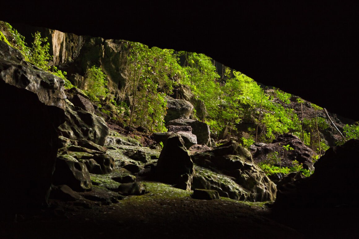 Malásia destaca experiências imersivas em florestas tropicais, cavernas e biodiversidade única
