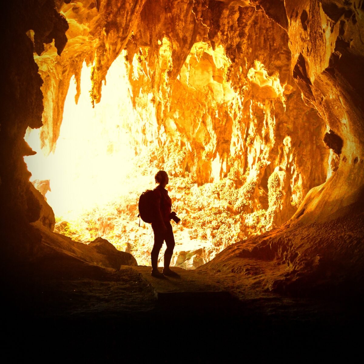 Malásia destaca experiências imersivas em florestas tropicais, cavernas e biodiversidade única
