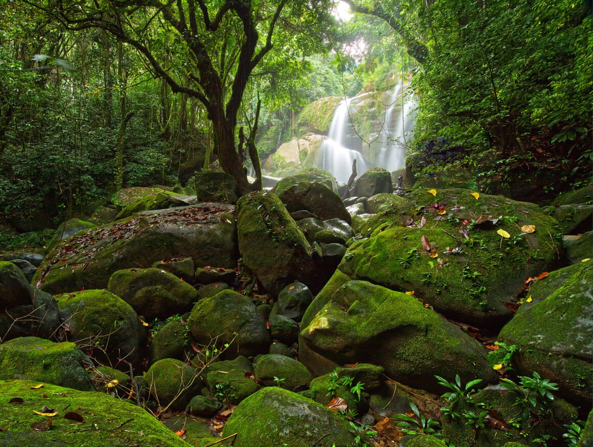 Malásia destaca experiências imersivas em florestas tropicais, cavernas e biodiversidade única