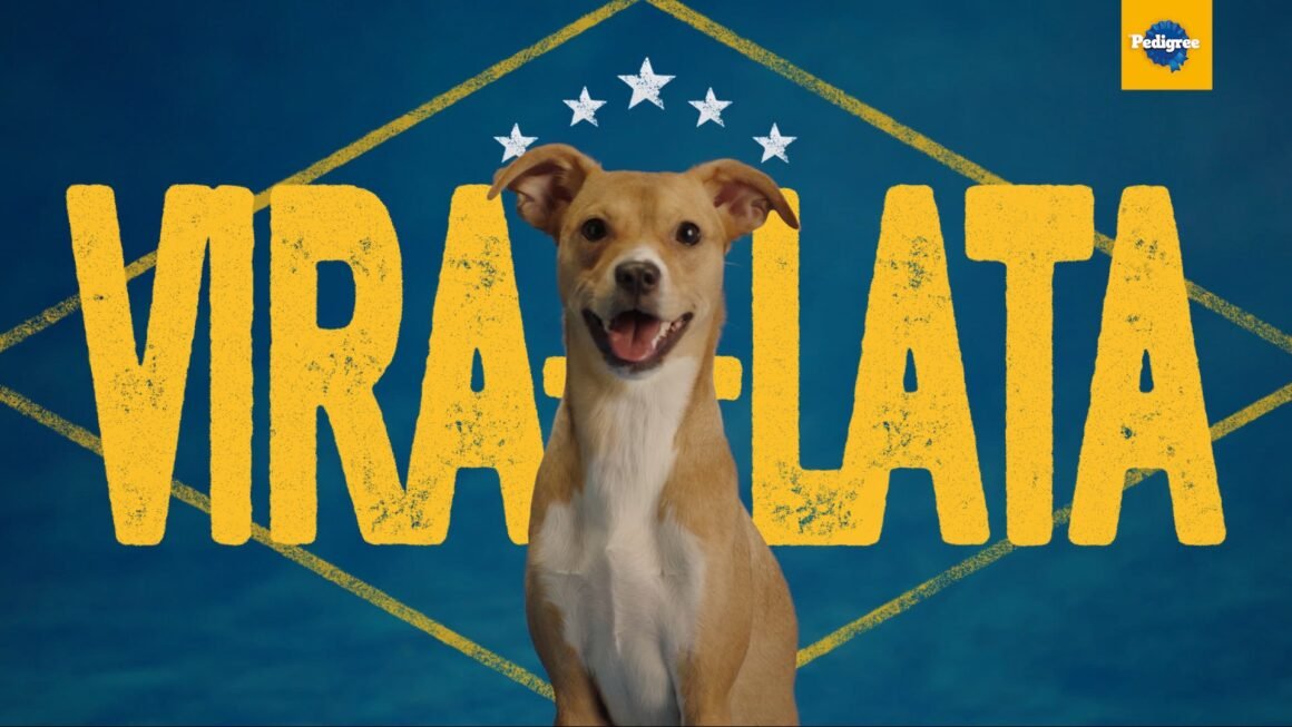 Em ano de futebol, PEDIGREE ressignifica o orgulho de ser vira-lata