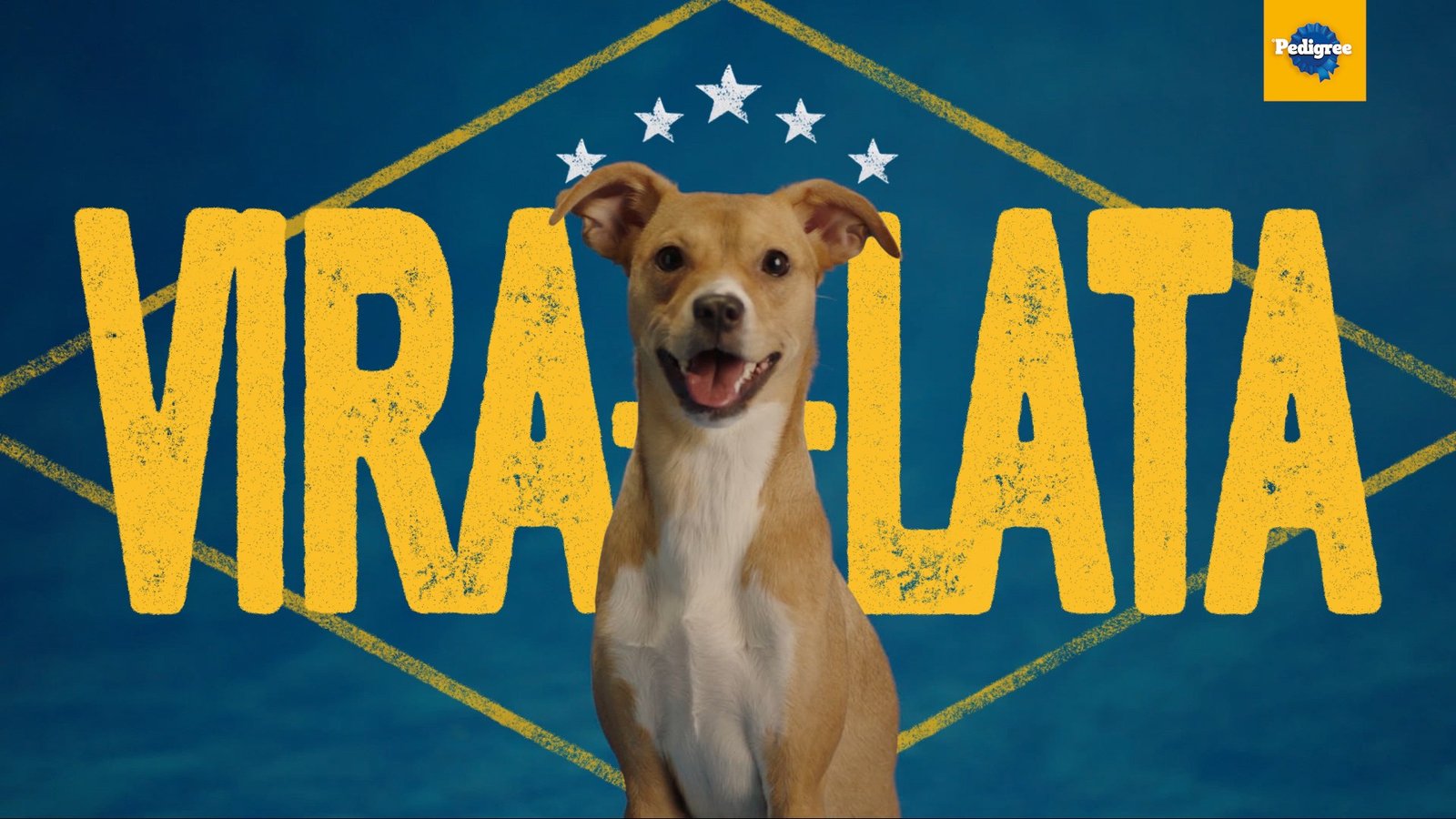 Em ano de futebol, PEDIGREE ressignifica o orgulho de ser vira-lata