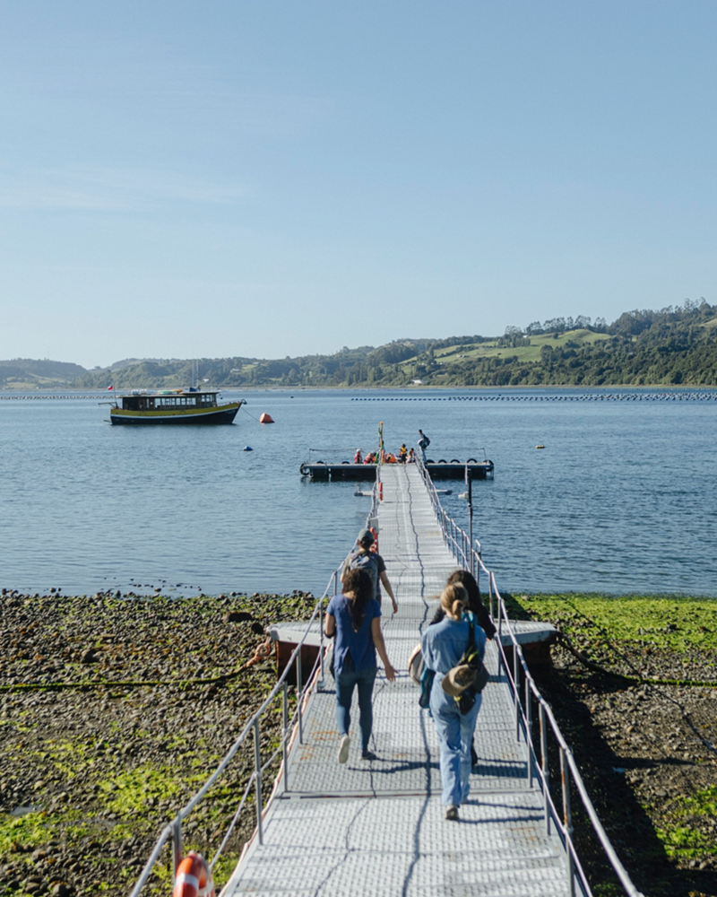 Refúgia Chiloé lança oferta para reservas antecipadas da temporada 2026/2027