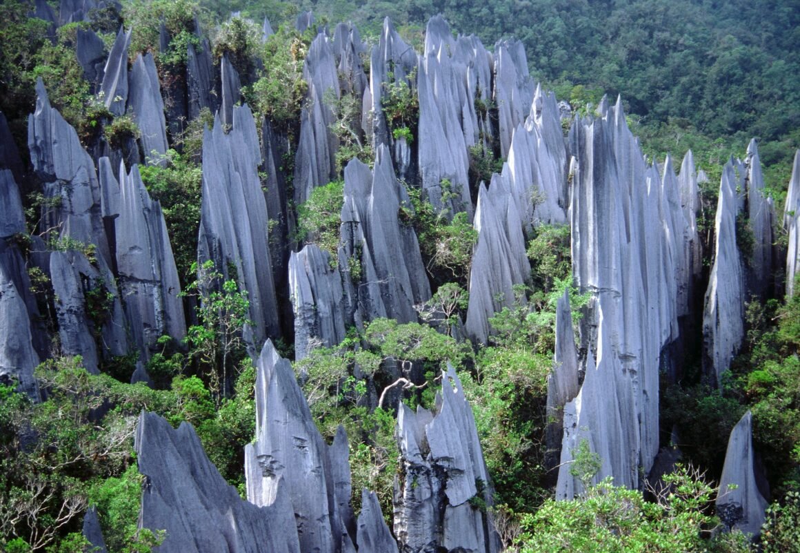 Malásia destaca experiências imersivas em florestas tropicais, cavernas e biodiversidade única