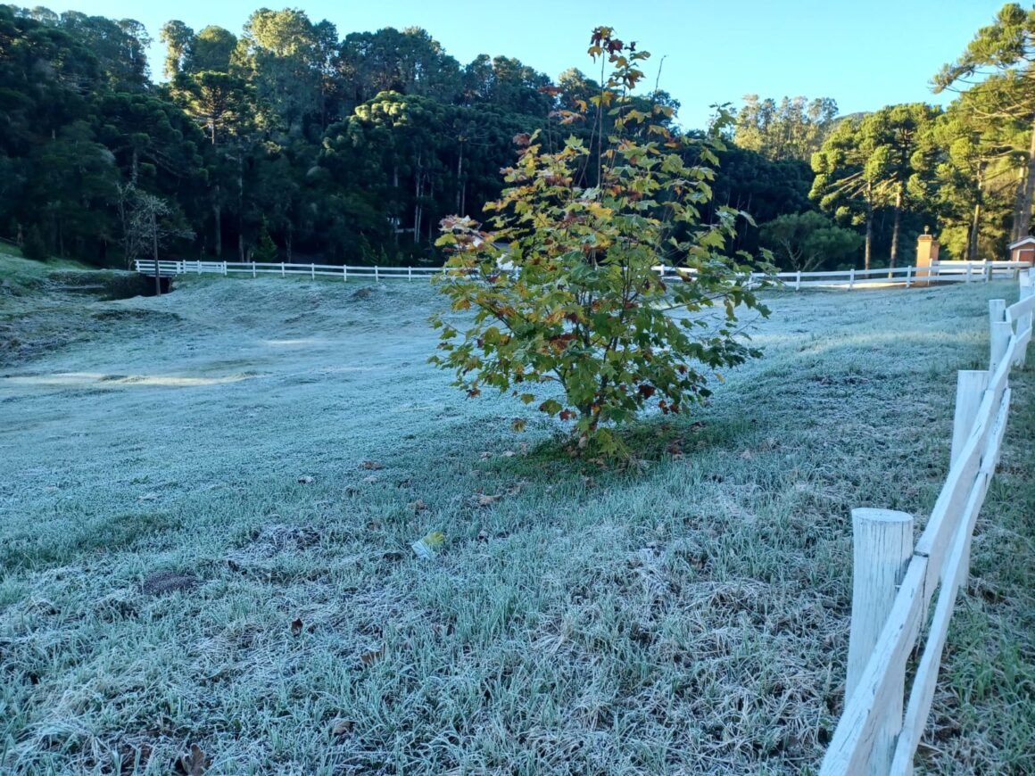 Monte Verde de A a Z: o guia definitivo para descobrir o melhor destino de inverno do Brasil
