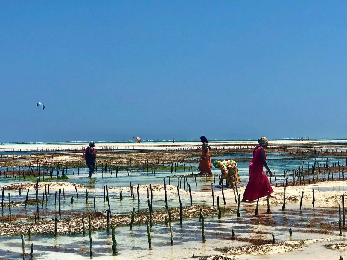 Paje desponta como o novo destino de bem-estar e luxo discreto em Zanzibar