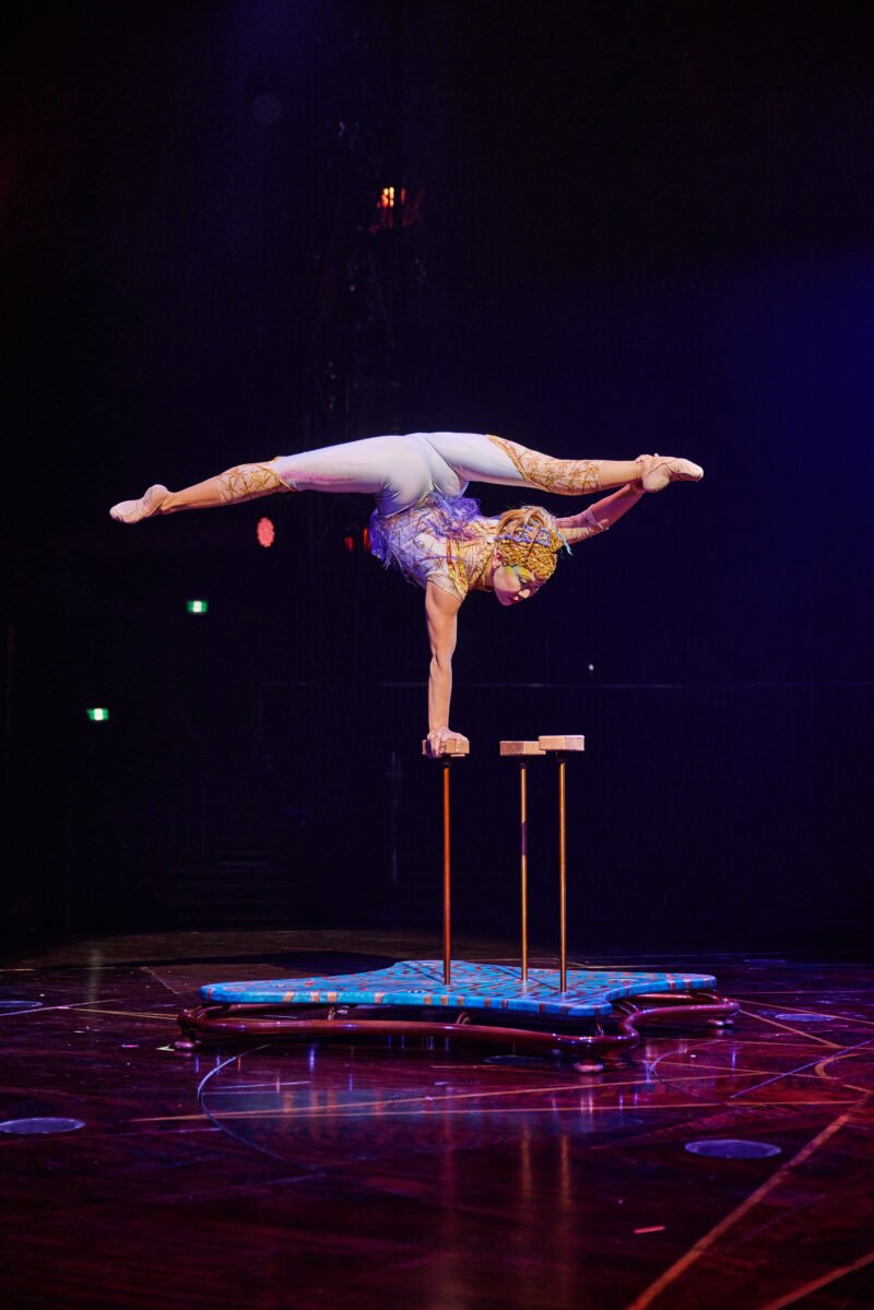 Cirque du Soleil traz Alegría – In a New Light para São Paulo e Curitiba em 2026