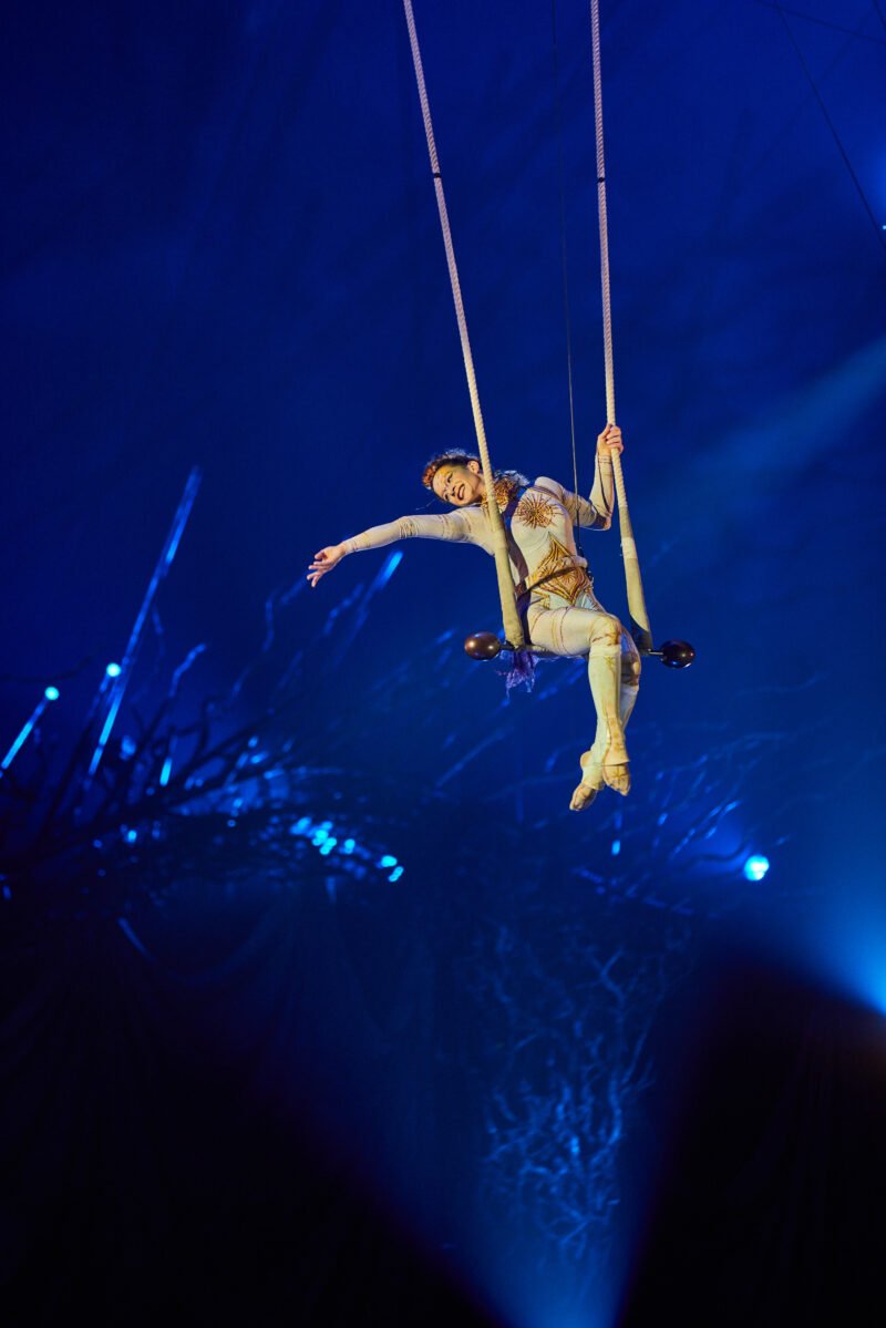Cirque du Soleil traz Alegría – In a New Light para São Paulo e Curitiba em 2026
