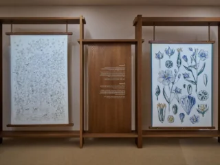 O design de 2026 está cansado de parecer novo o tempo todo