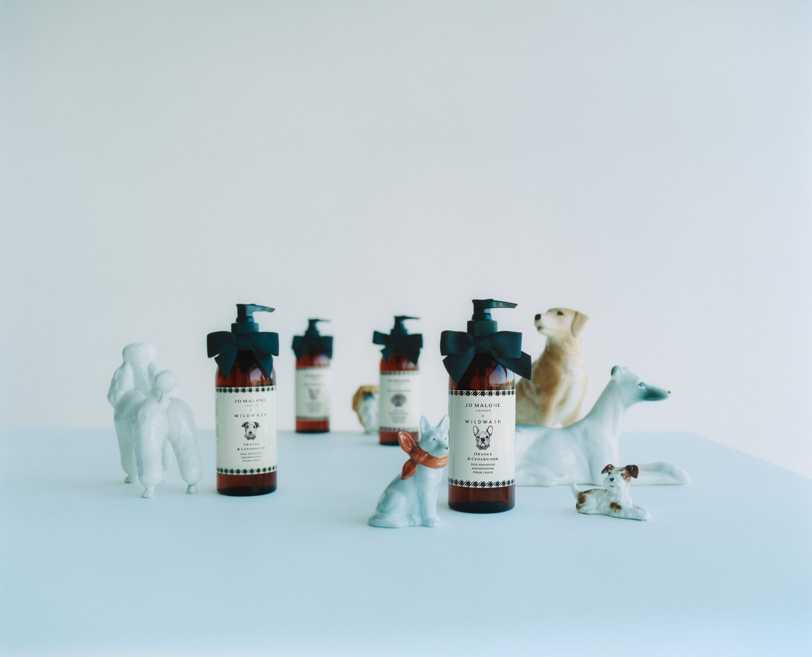 Jo Malone acaba de colocar o cachorro dentro do universo da perfumaria