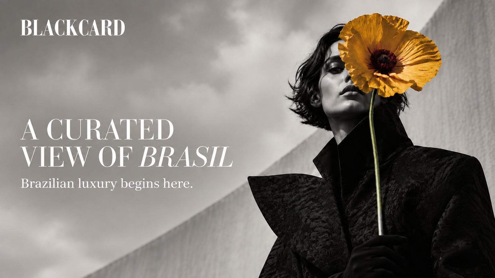 BlackCard International: a curated view of Brasil