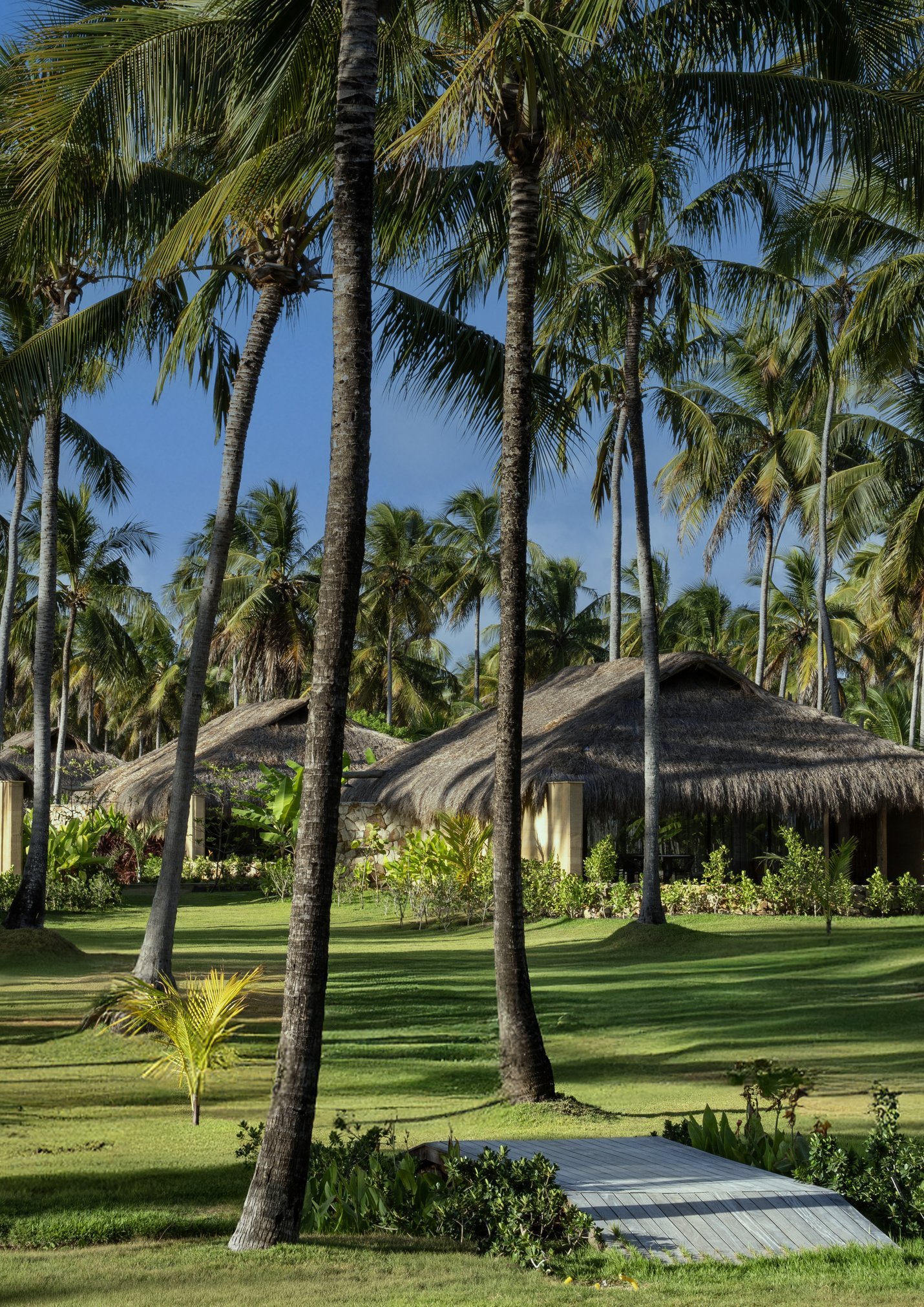 Bangalôs entre coqueiros no jardim do Primitivo Hotel & Villas, em Alagoas