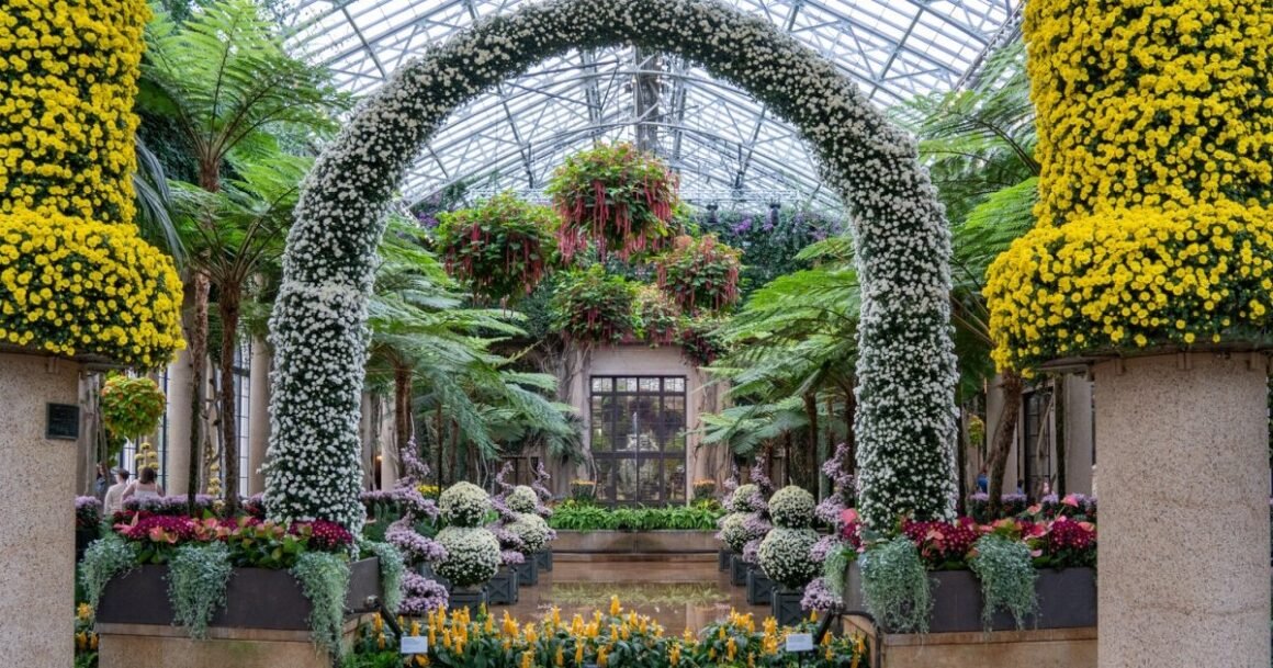 Arco duplo de crisântemos no conservatório do Longwood Gardens, na Pensilvânia